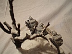 Snow Serpent Diorama-7.jpg