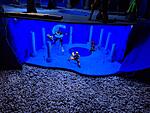Custom G.I. Joe - Heavy Water Diorama-20240303_183540.jpg