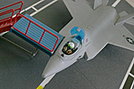 F-35 JSF (Joint Strike Fighter) Customs-jsf5.jpg