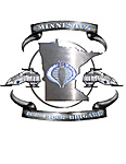 Minnesota Ice Viper Brigade logo-minn-silver.jpg