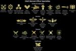 What secrets lurk in the filecards?-800px-usn_chief_warrant_officer_specialty_devices.png