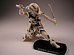 ROC Wave 5 Arctic Threat Storm Shadow Review-as2.jpg