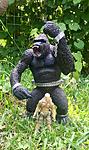 GI Joe vs. McFarlane King Kong???-34041140793_7a3674657d_o.jpg