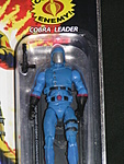 25th Anniversary Cobra Commander VARIANT-pict1898.jpg
