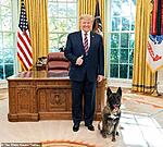 Does Delta Force actually exist?-oval-office-delta-dog.jpg