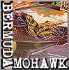 Bermuda Mohawk's Avatar