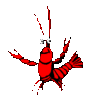 crayfish's Avatar
