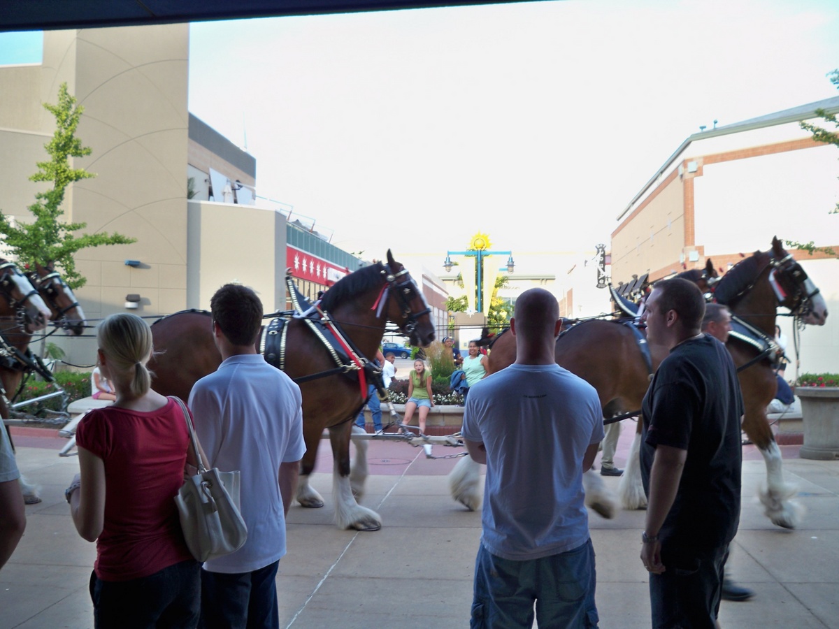 Bud Clydsedales after seeing the Dark Knight. A surreal moment